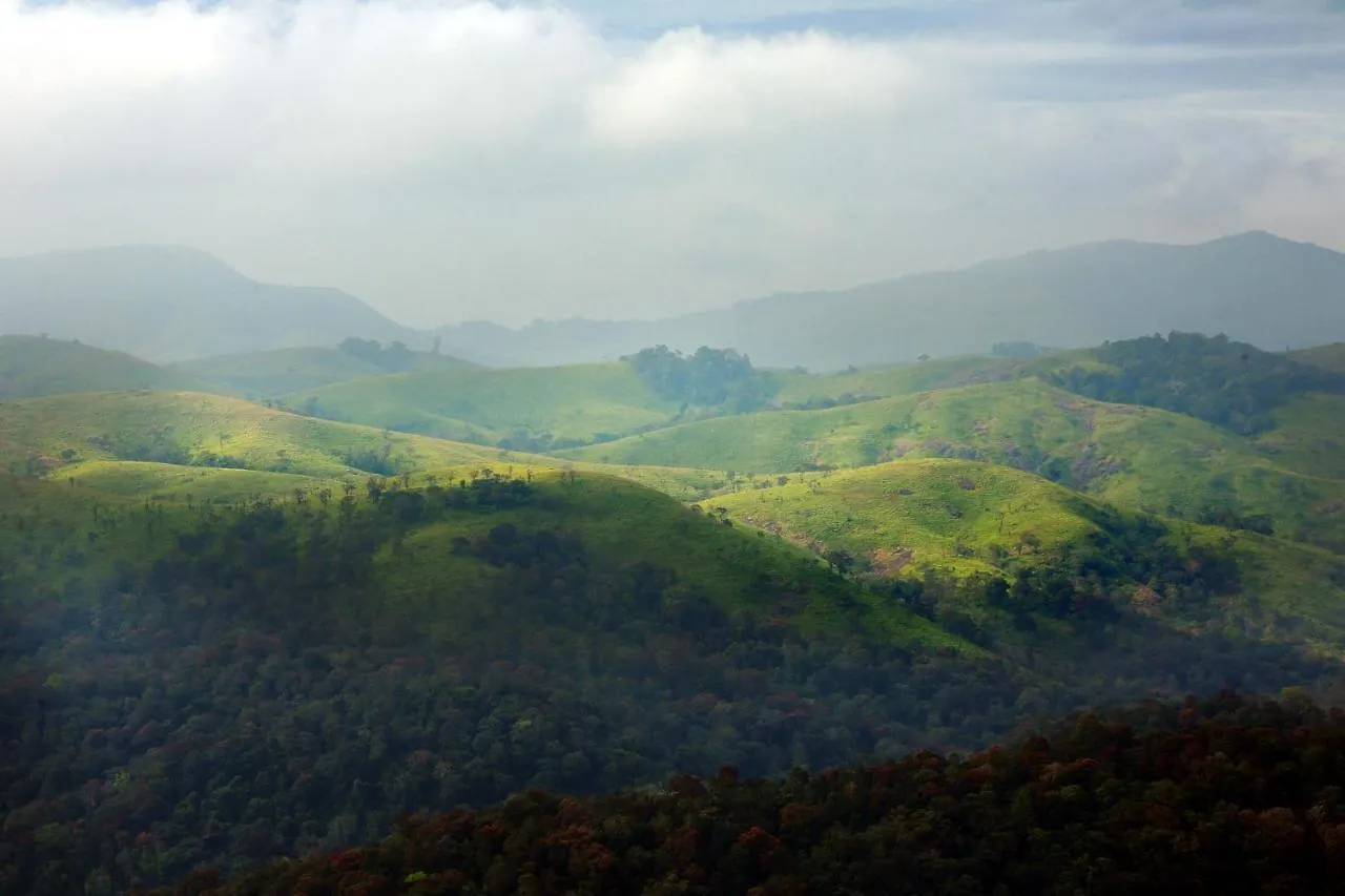 Olivia Villa Idukki