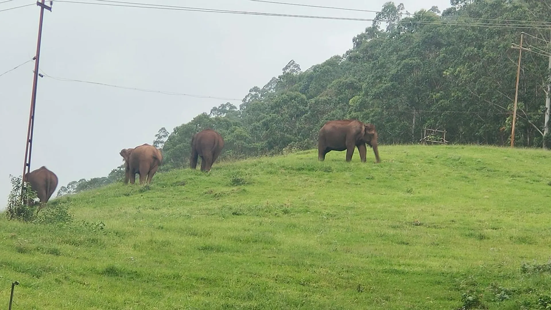 Olivia Villa Idukki 0*,
