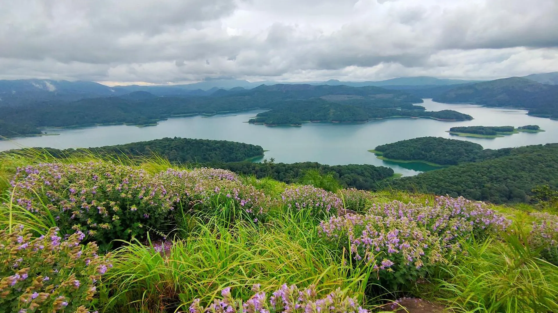 Olivia Villa Idukki 0*,