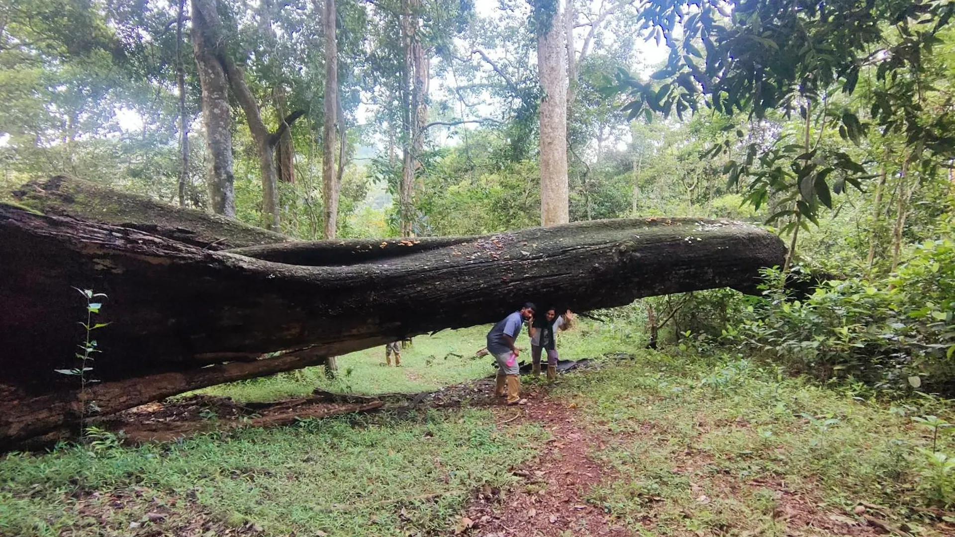 Olivia Villa Idukki Appartamento