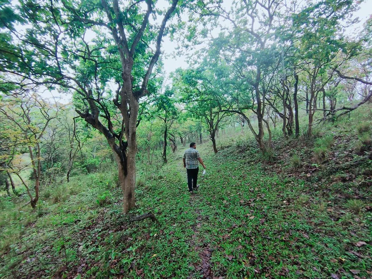 Olivia Villa Idukki